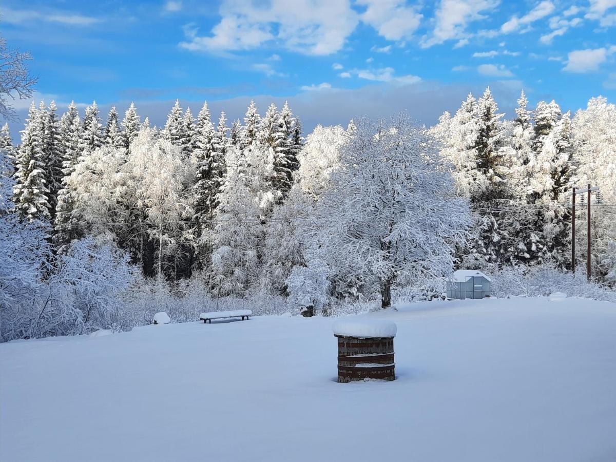 Geijersholms Herrgard Hagfors Luaran gambar